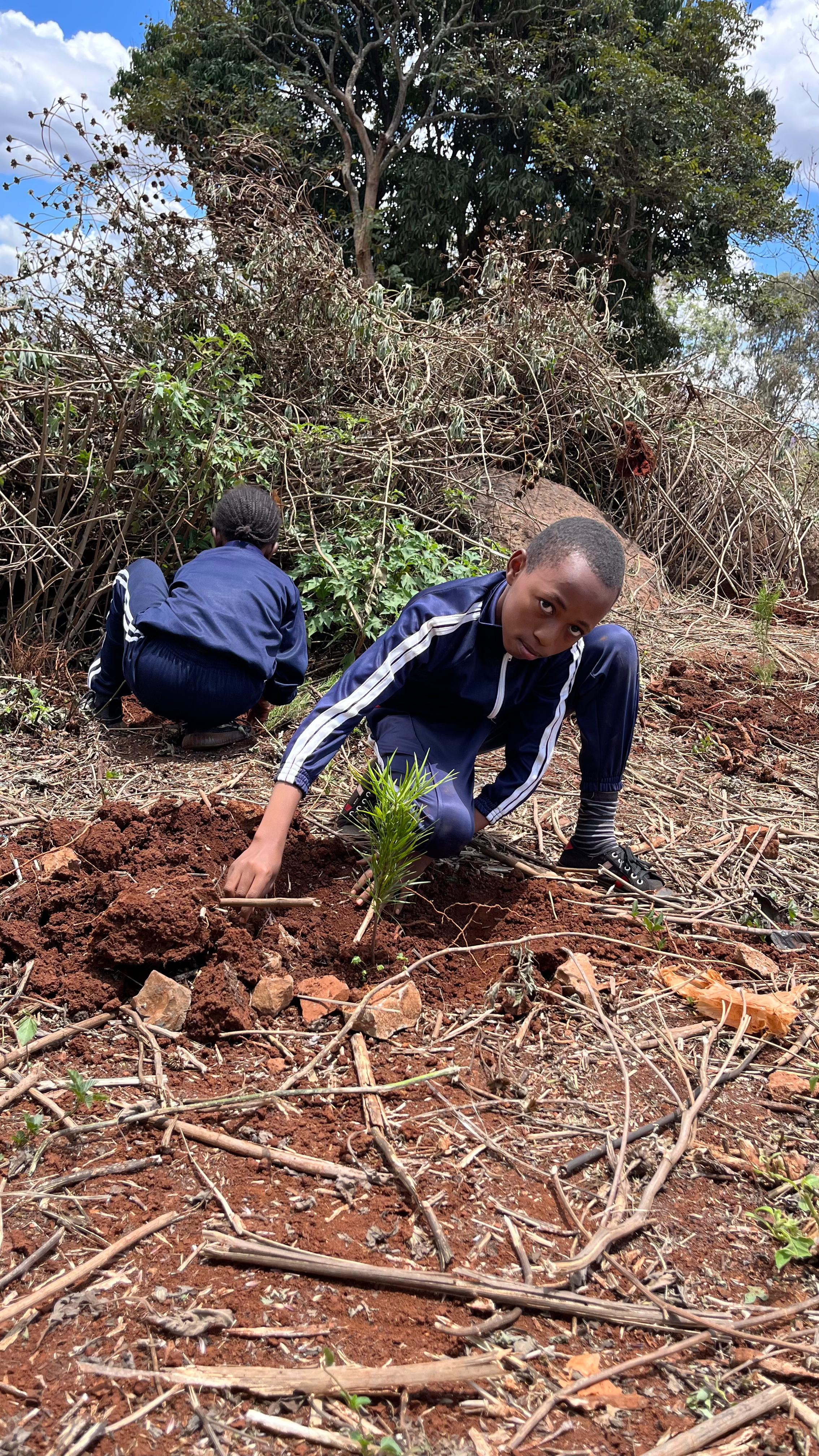 Mazingira Day 2025 - Tree planting demonstration
